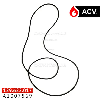 ACV A1007569 gasket viton HR28-32-36/30-hre36/30