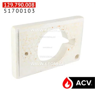 ACV 51700103 insulated burner door BG2000 HM100-101