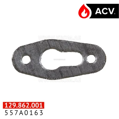 ACV 557A0163 gasket for dual ceramic ignitor