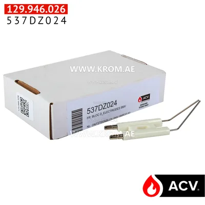 ACV 537DZ024 electrodes assy BMV