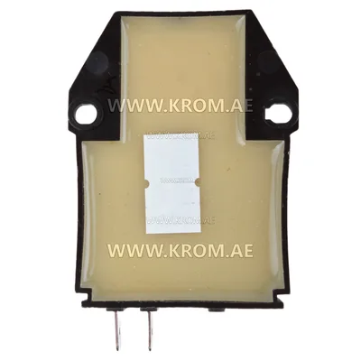 Anstoss DCP 2/24 07000410 ignition transformer