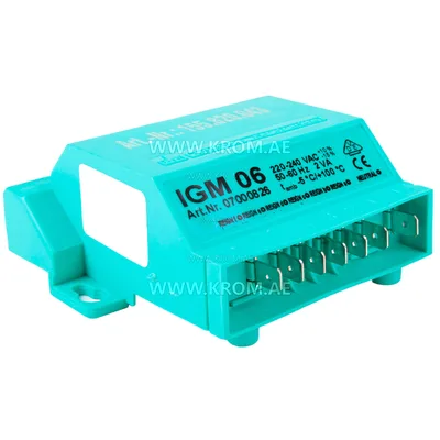 Anstoss IGM 06 7000826 ignition transformer