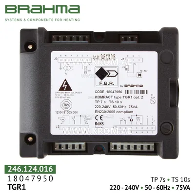 Brahma 18047950 TGR1 control box