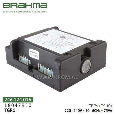 Brahma 18047950 TGR1 control box