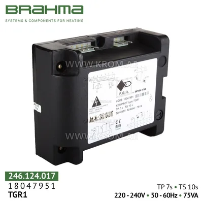 Brahma 18047951 TGR1 control box