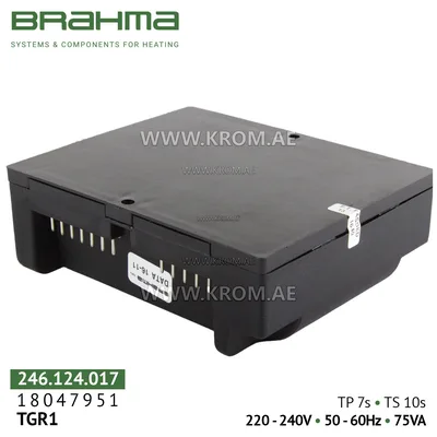 Brahma 18047951 TGR1 control box