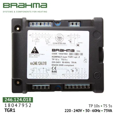 Brahma 18047952 TGR1 control box