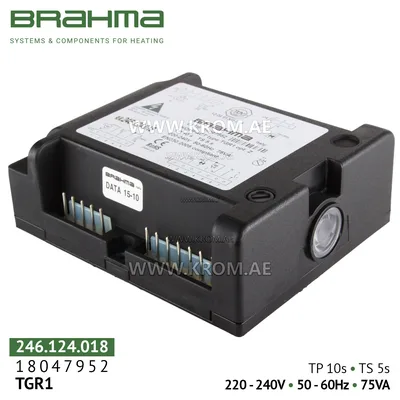 Brahma 18047952 TGR1 control box