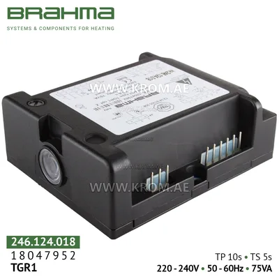Brahma 18047952 TGR1 control box