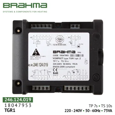 Brahma 18047953 TGR1 control box