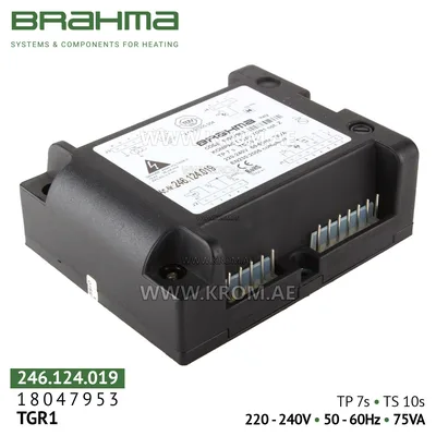Brahma 18047953 TGR1 control box