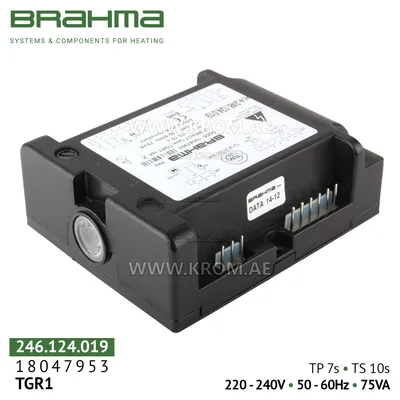 Brahma 18047953 TGR1 control box