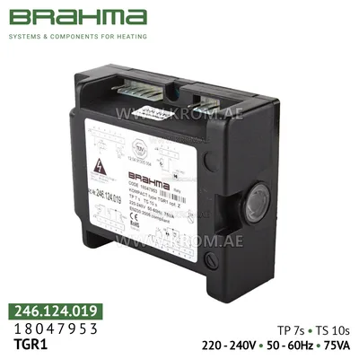 Brahma 18047953 TGR1 control box