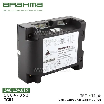 Brahma-18047953-TGR1-Steuergerät