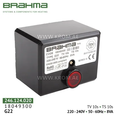 Brahma 18049300 G22 control box