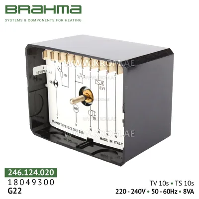 Brahma 18049300 G22 control box
