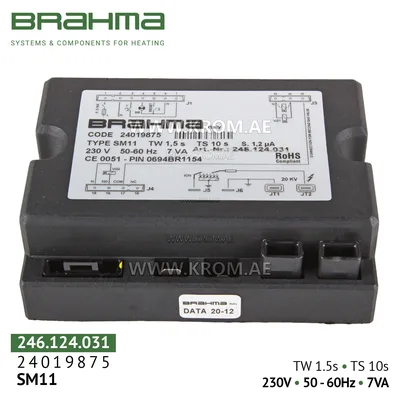 Brahma 24019875 SM11 control box