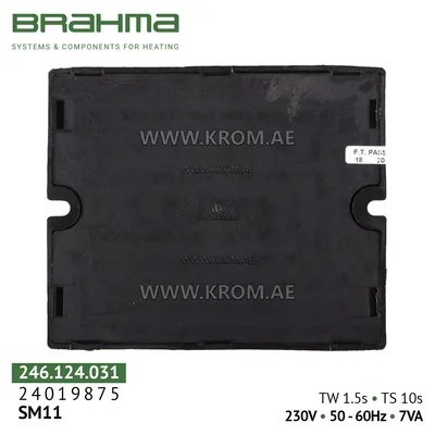 Brahma 24019875 SM11 control box