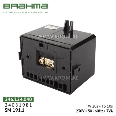 Brahma 24081981 SM191.1 control box