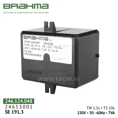 Brahma 24653001 SE191.3 control box