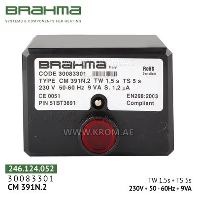 Brahma 30083301 CM391N.2 control box
