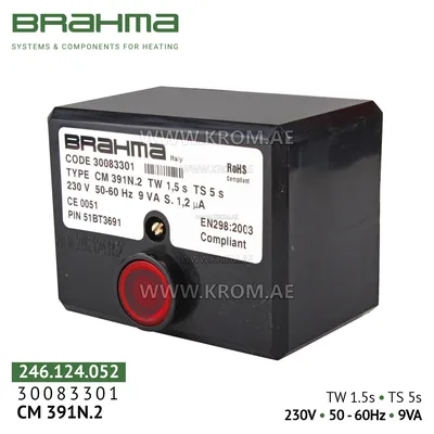 Brahma 30083301 CM391N.2 control box