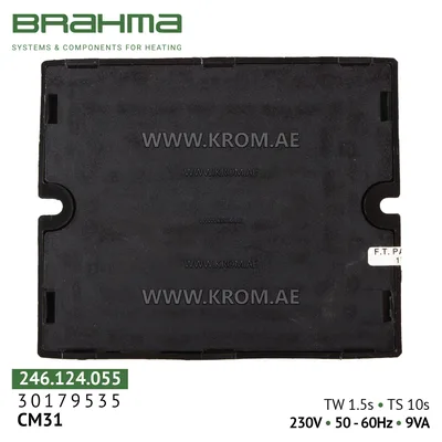Brahma 30179535 CM31 control box