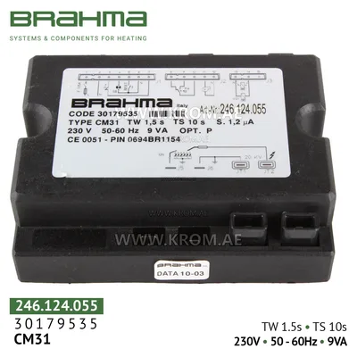 Brahma 30179535 CM31 control box