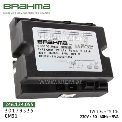 Brahma 30179535 CM31 control box