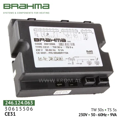 Brahma 30615506 CE31 control box