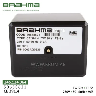 Brahma 30658621 CE391.4 control box