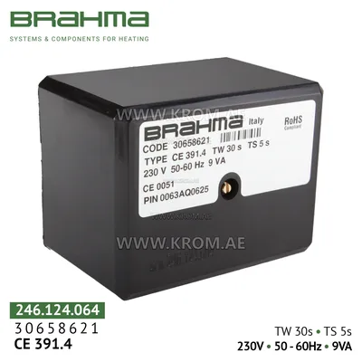 Brahma 30658621 CE391.4 control box
