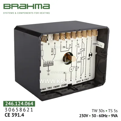 Brahma 30658621 CE391.4 control box