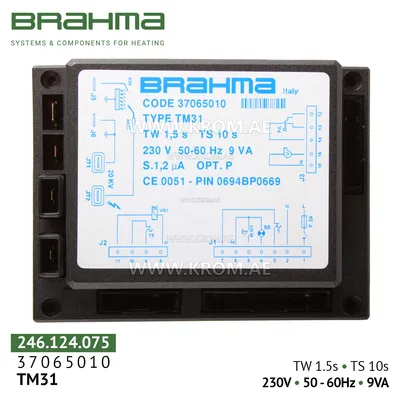 Brahma 37065010 TM31 control box