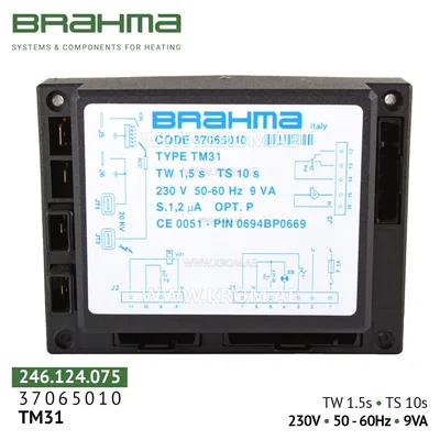 Brahma 37065010 TM31 control box