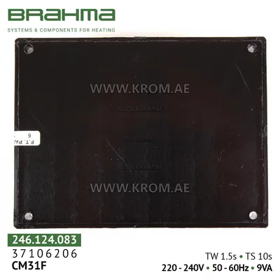 Brahma 37106206 CM31F control box