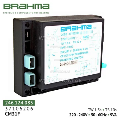 Brahma 37106206 CM31F control box