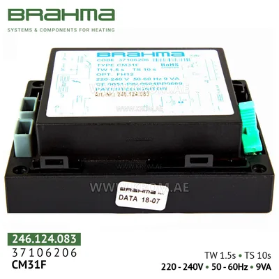 Brahma 37106206 CM31F control box