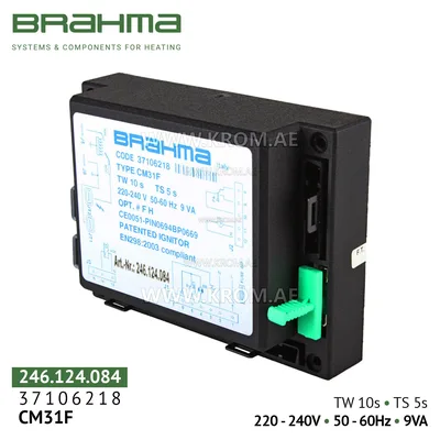 Brahma 37106218 CM31F control box