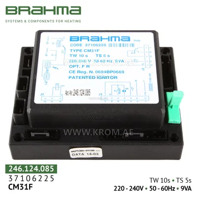 Brahma 37106225 CM31F control box