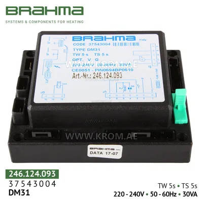 Brahma 37543004 DM31 control box