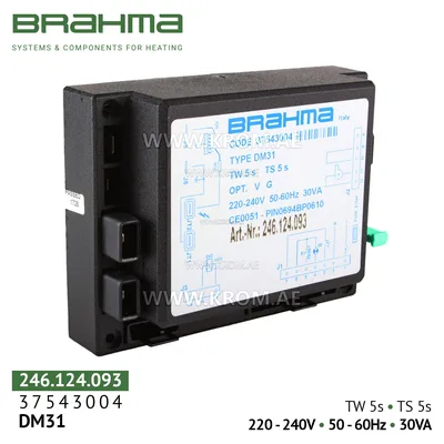 Brahma 37543004 DM31 control box