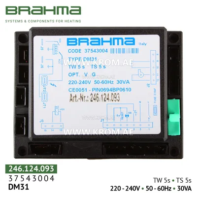 Brahma 37543004 DM31 control box
