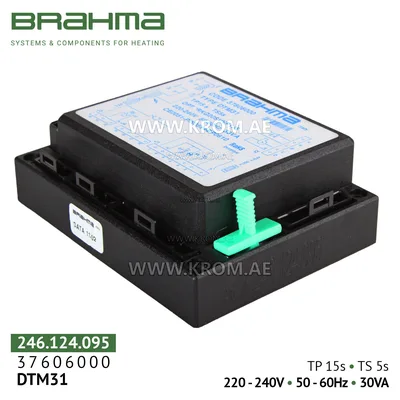 Brahma 37606000 DTM31 control box