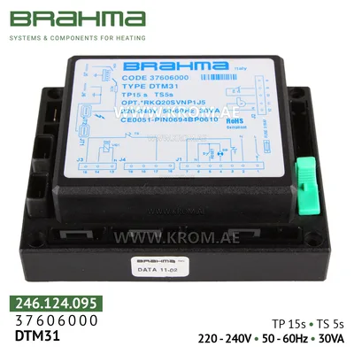 Brahma 37606000 DTM31 control box
