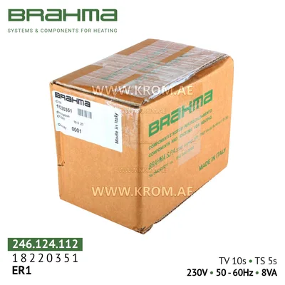 Brahma 18220351 ER1 control box