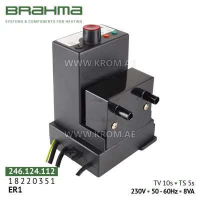 Brahma 18220351 ER1 control box