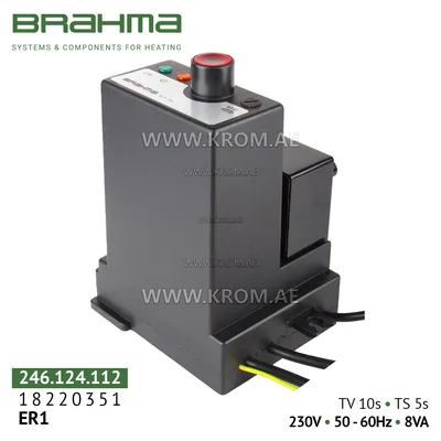 Brahma 18220351 ER1 control box