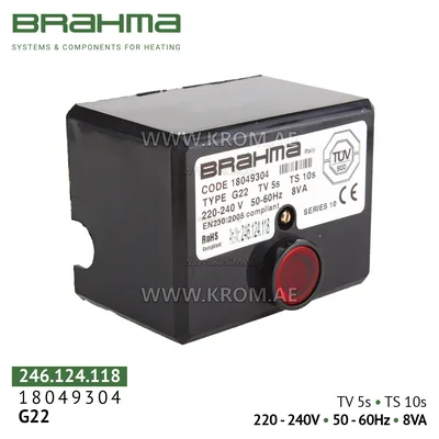 Brahma 18049304 G22 control box