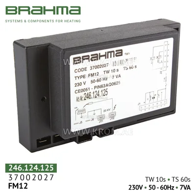 Brahma 37002027 FM12 control box
